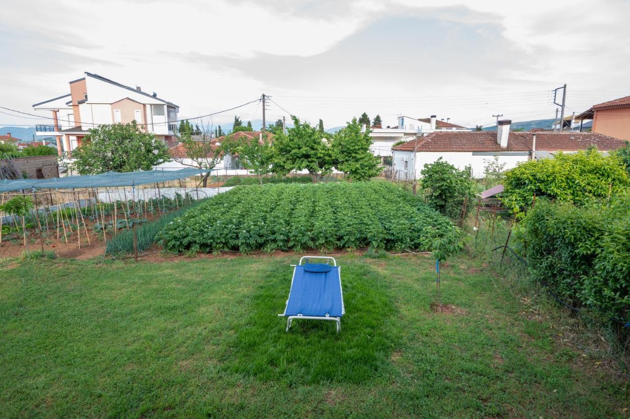 Dream House Ioannina Apartment Luaran gambar
